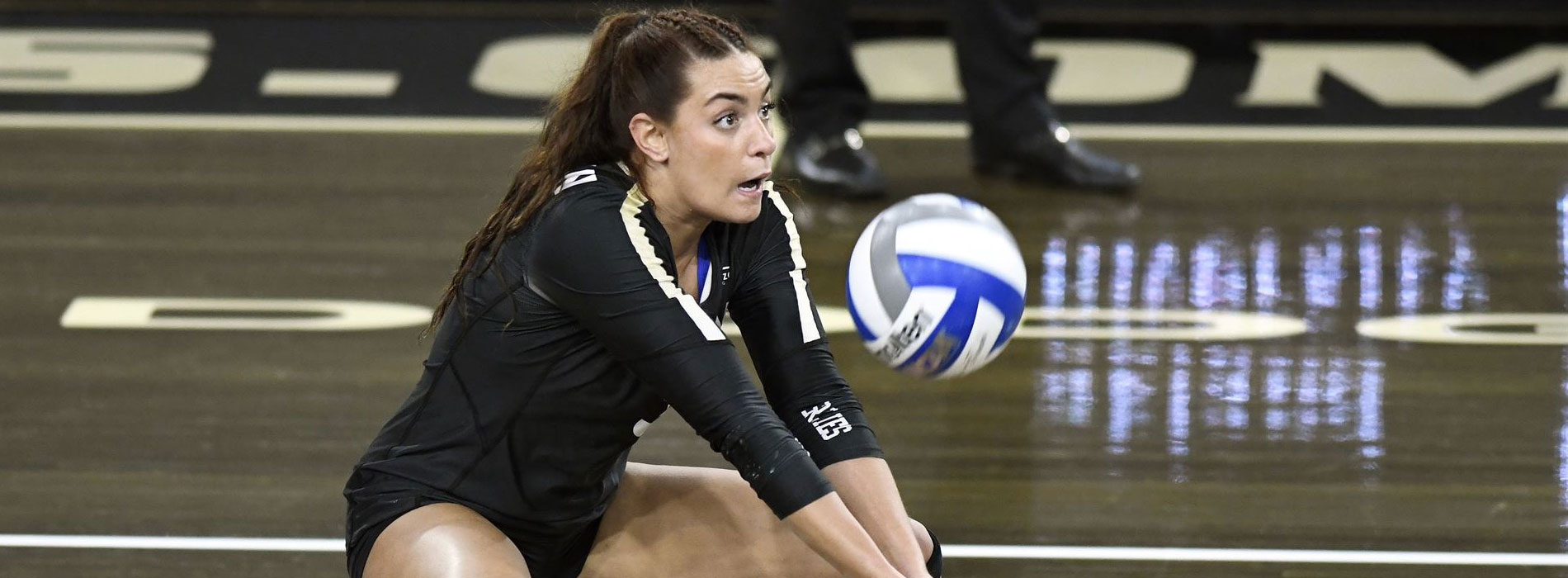 Krista Rice Volleyball Camps Hosted By Oakland University Rochester, MI